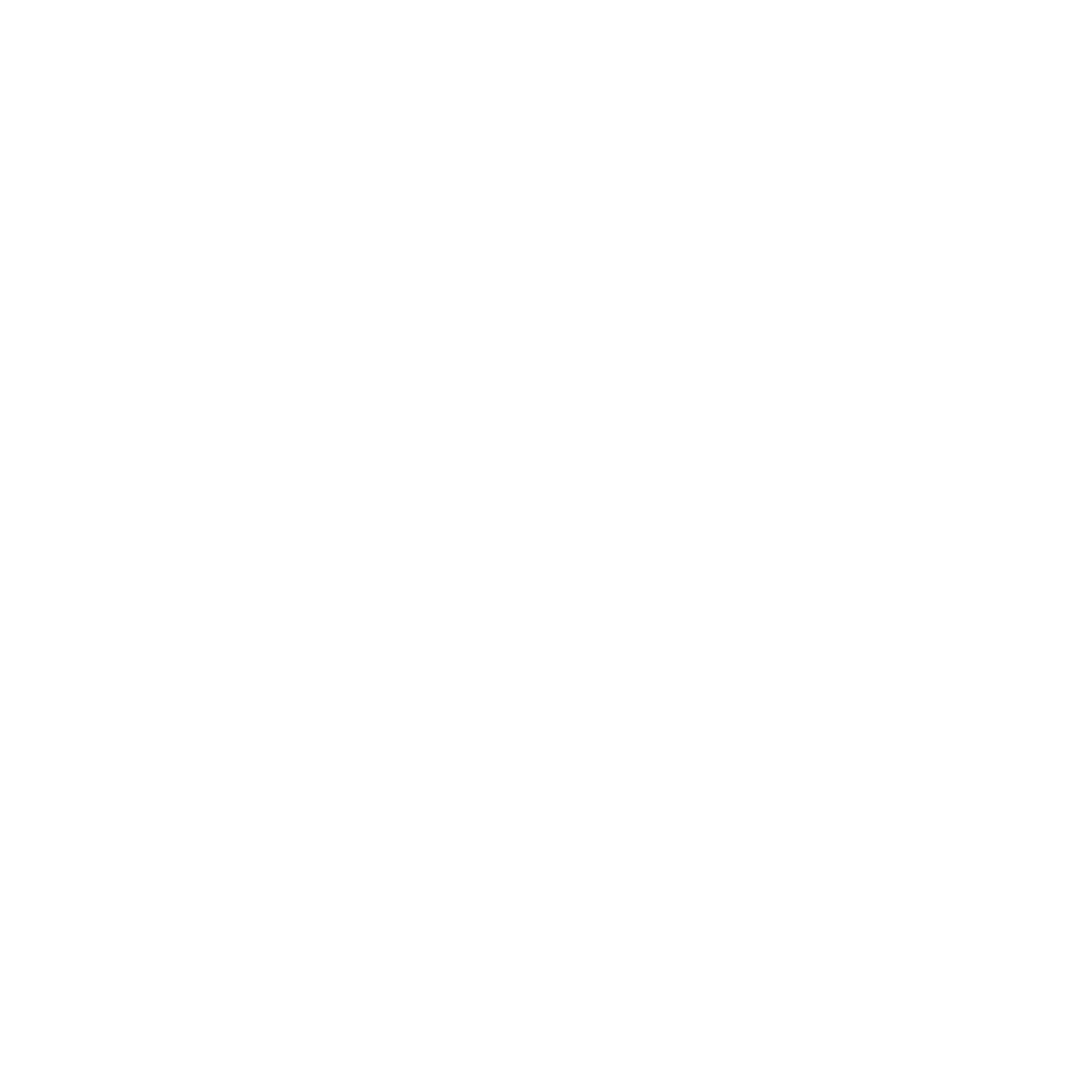 Vant Partners Logo